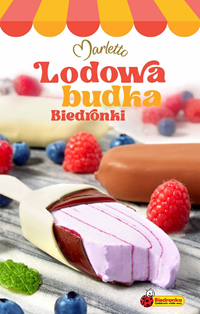 Biedronka - Gazetka: LODOWA BUDKA