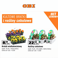 OBI - Hit Cenowy