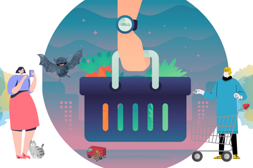 zakupy w kwarantannie 