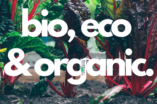 zakupy zdrowa żywność