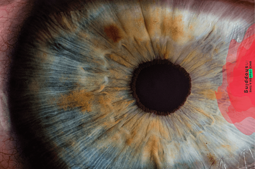 renkler ve pazarlama