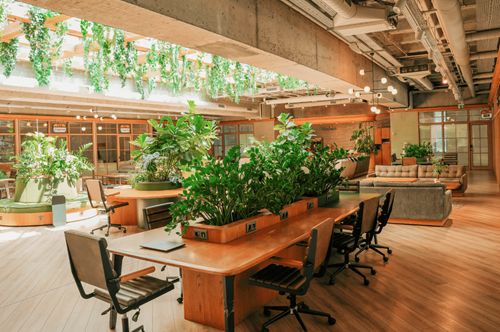 zielone miejsca pracy