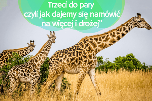 efekt przynęty