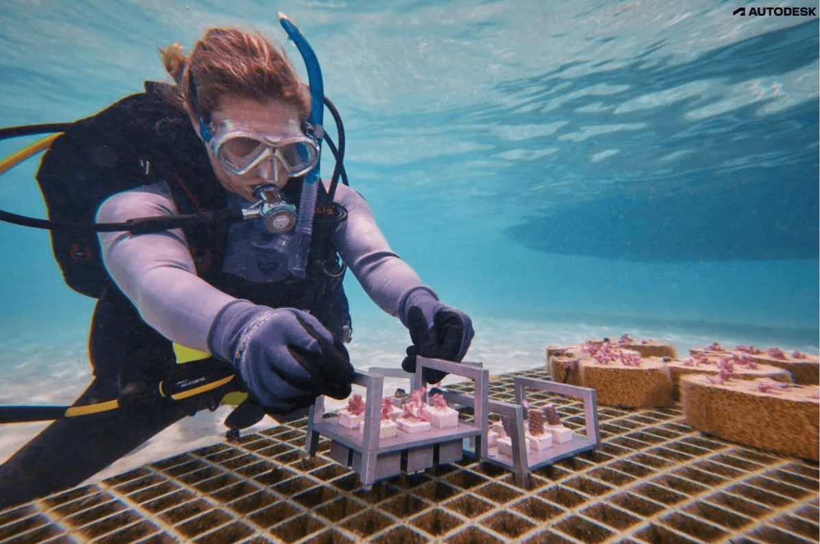 autodesk Coral reef